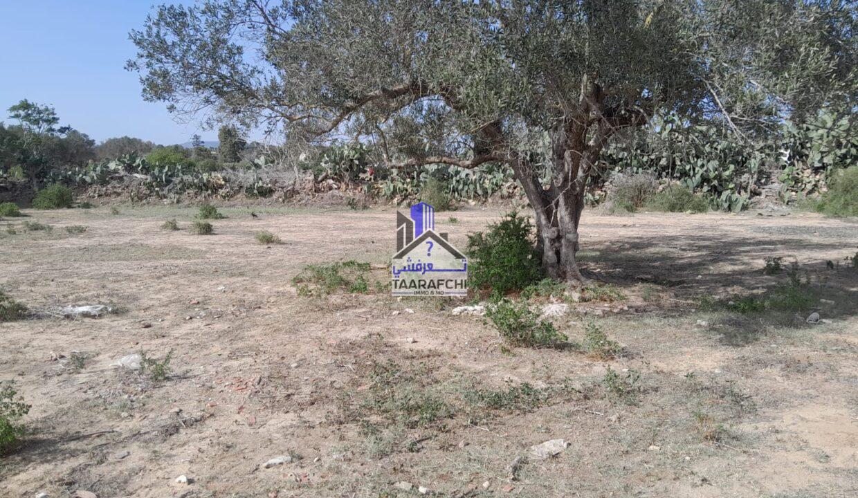 029e266c-b50d-4dcc-aaaa-fffa3ded9a48