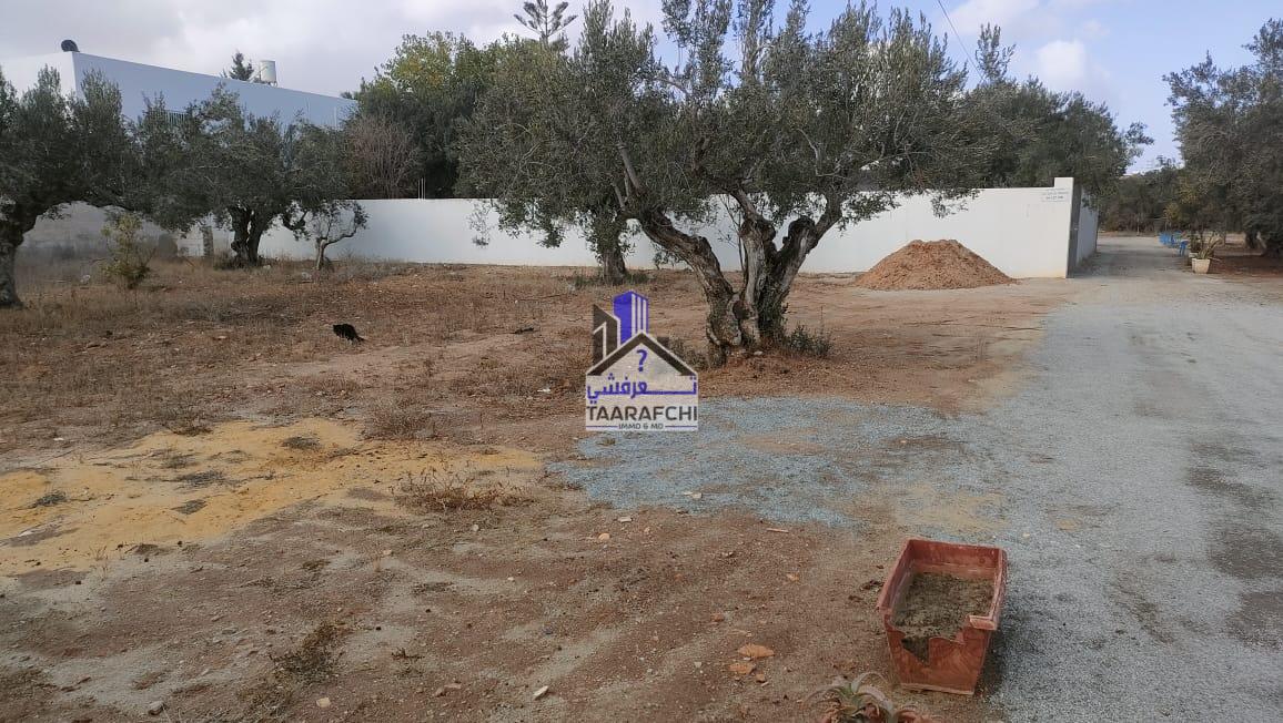 091bb0cb-7943-4785-ad1d-fa954488f30d