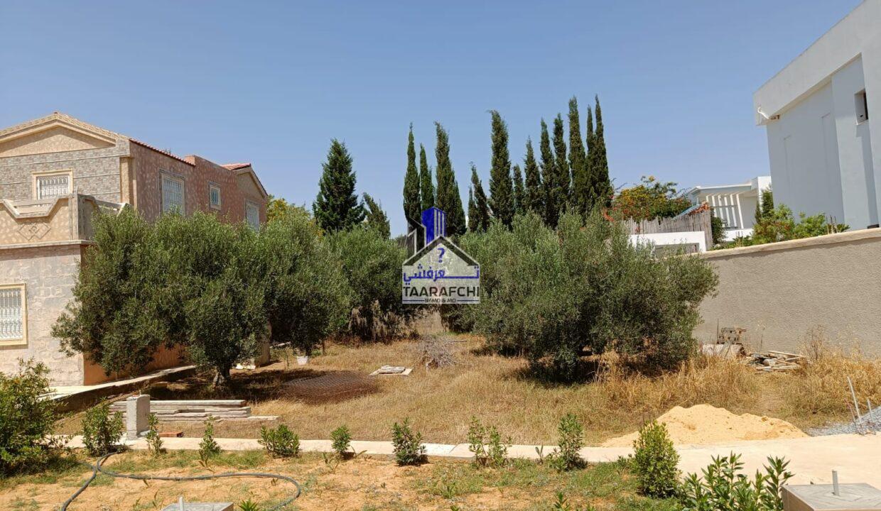 0b7e6962-acf3-4be2-9f31-770ea016ca22