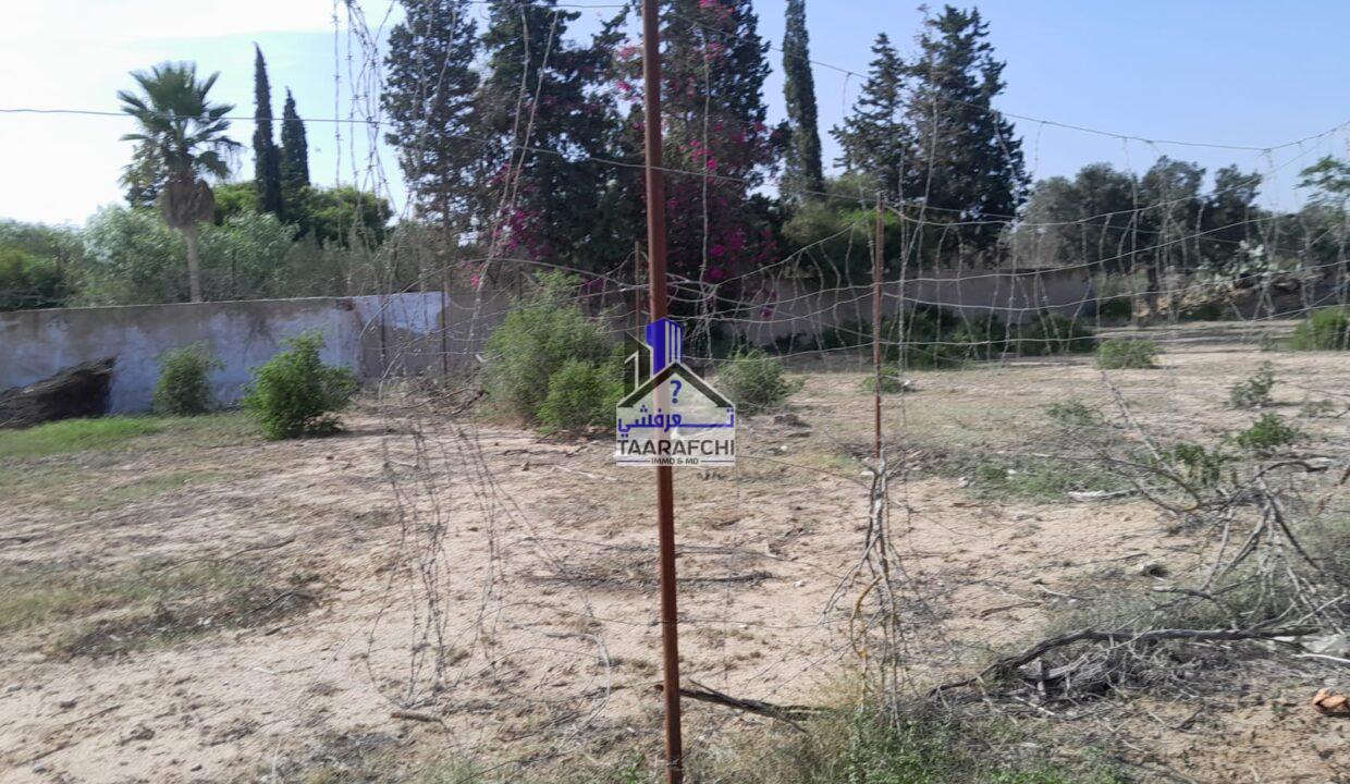 0dfab626-8519-4167-ab53-9ce4f25ee94a