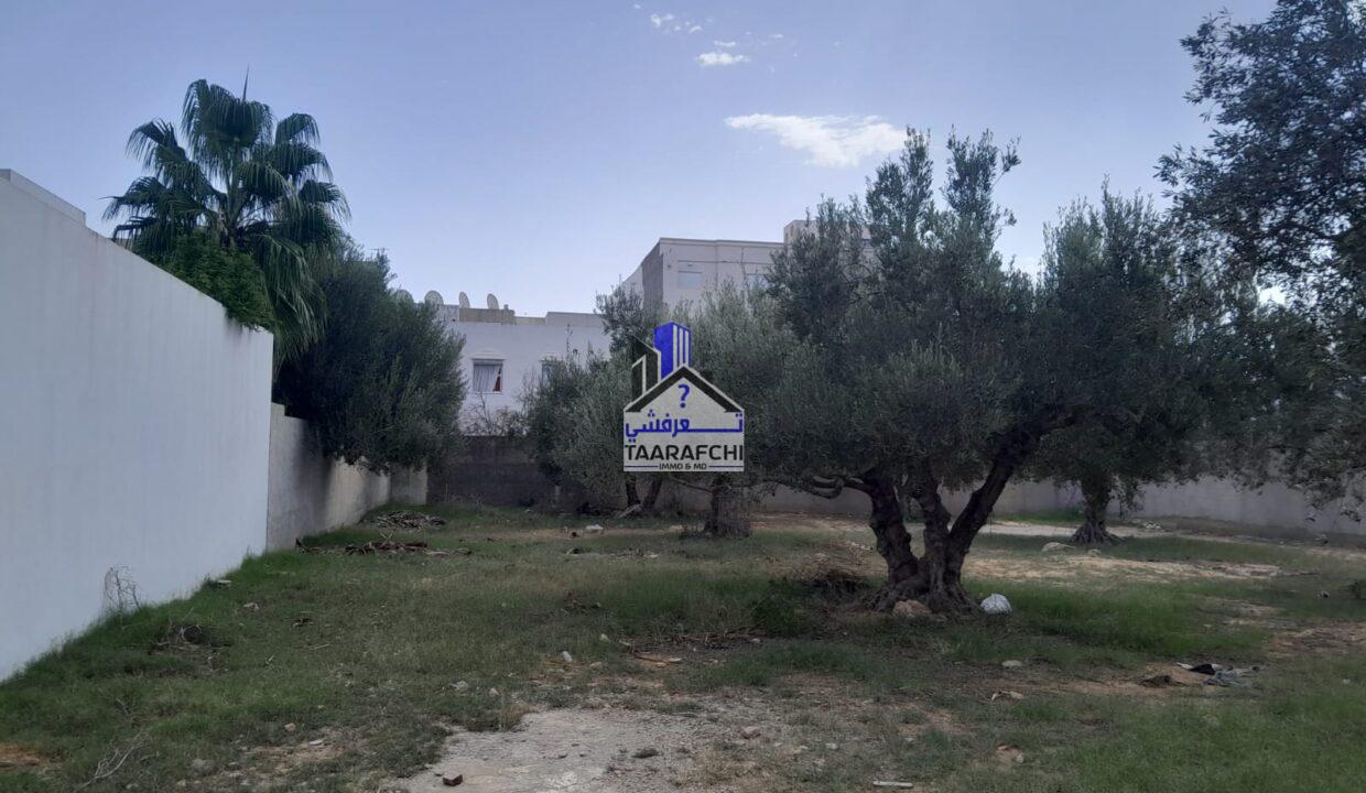 165696c5-662e-43c9-8b04-773a7b0ca3bc