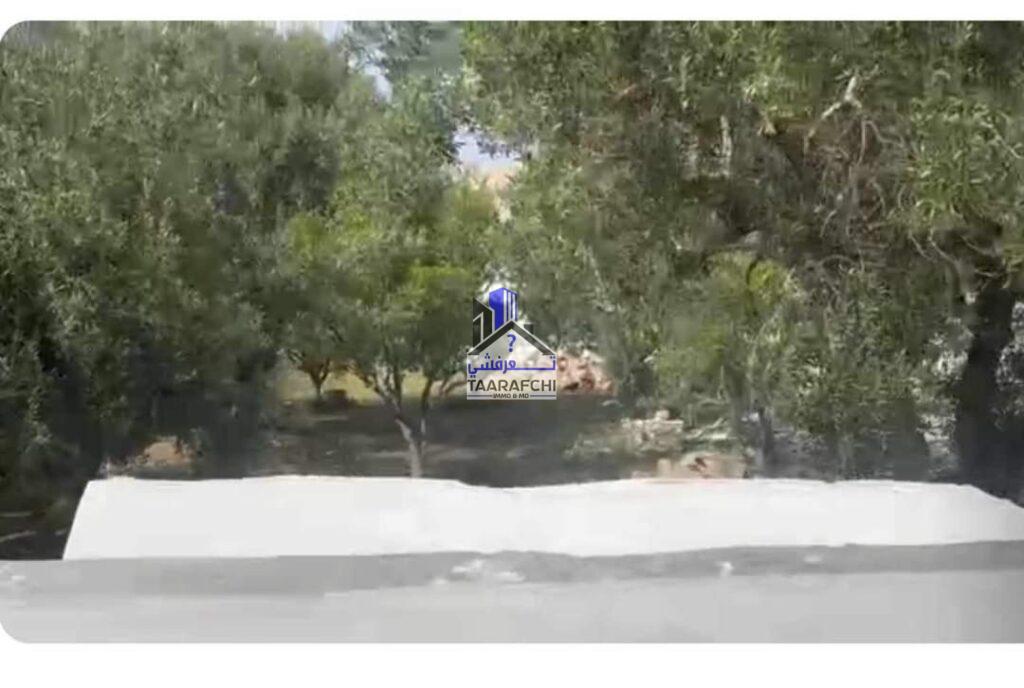 Terrain commercial Hammamet TH033 :