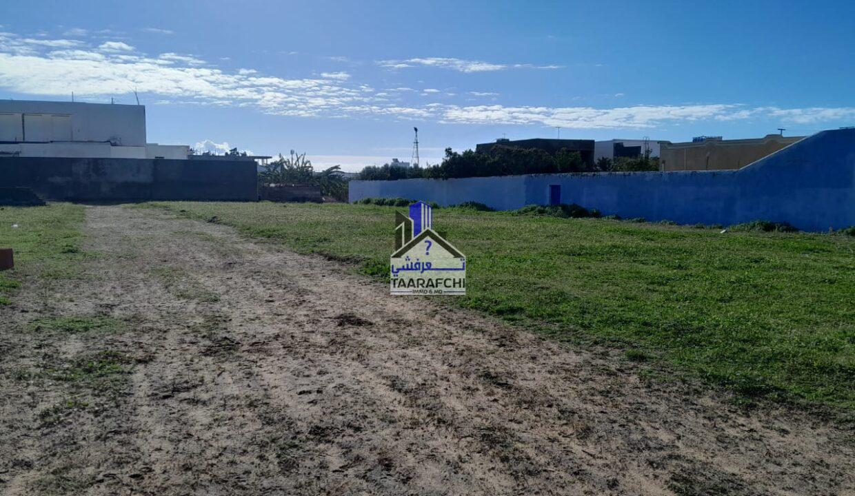 1ae893e3-25c9-408d-a5b9-5eeea336fbe8