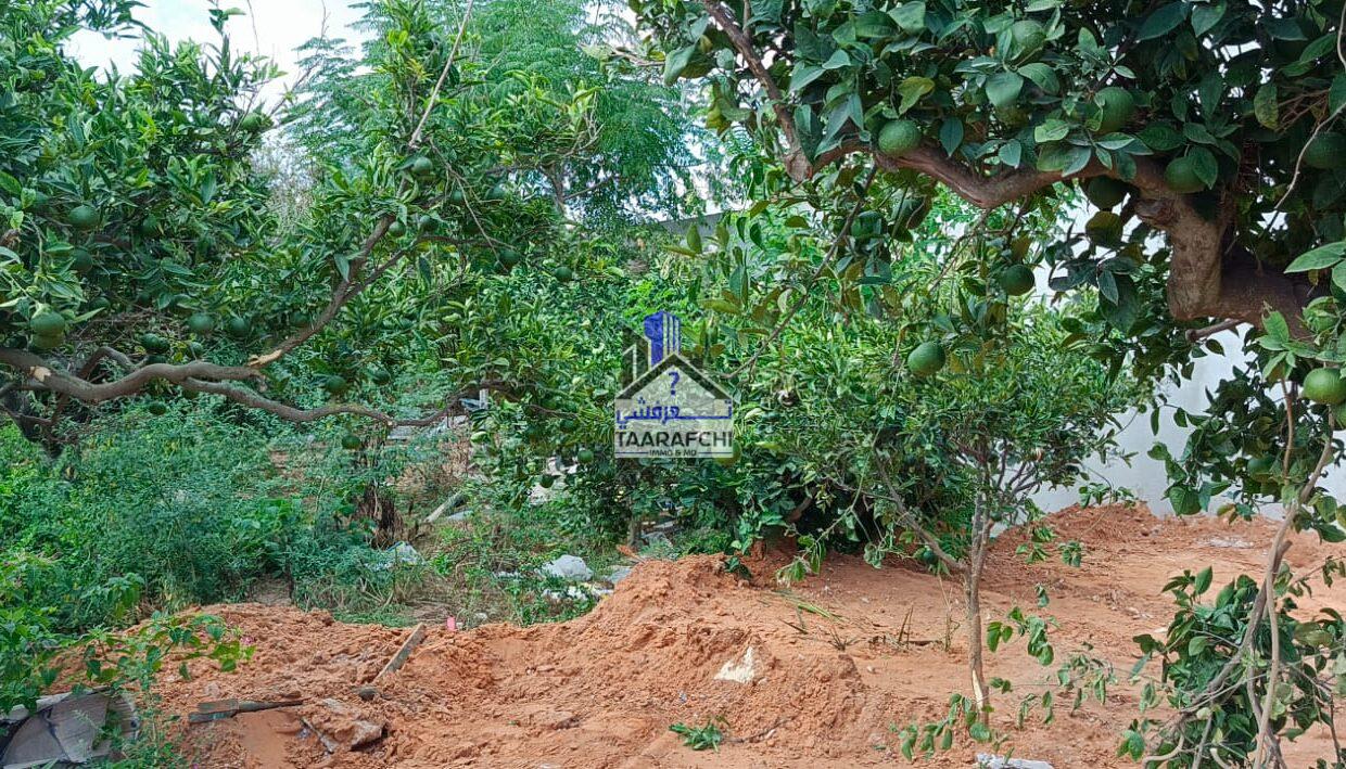 2c87d33e-157f-44be-8da6-f648e1d2f9bb