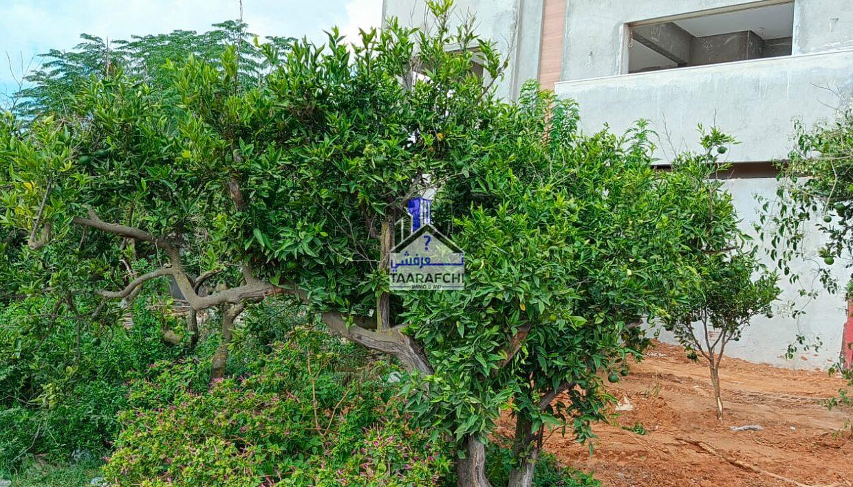 2f911ec6-dfe6-411c-b422-471a262f8b45