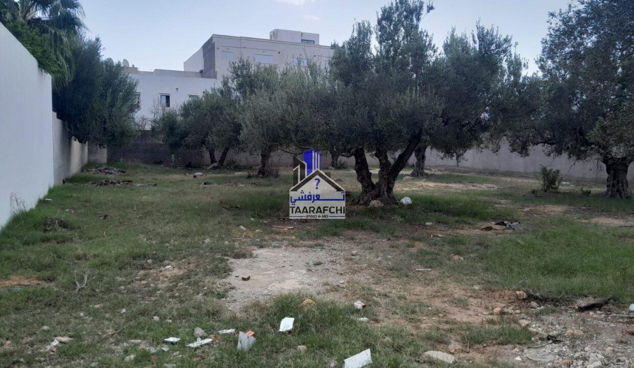 30b77a5d-c5a9-41e4-9f6b-327128382555