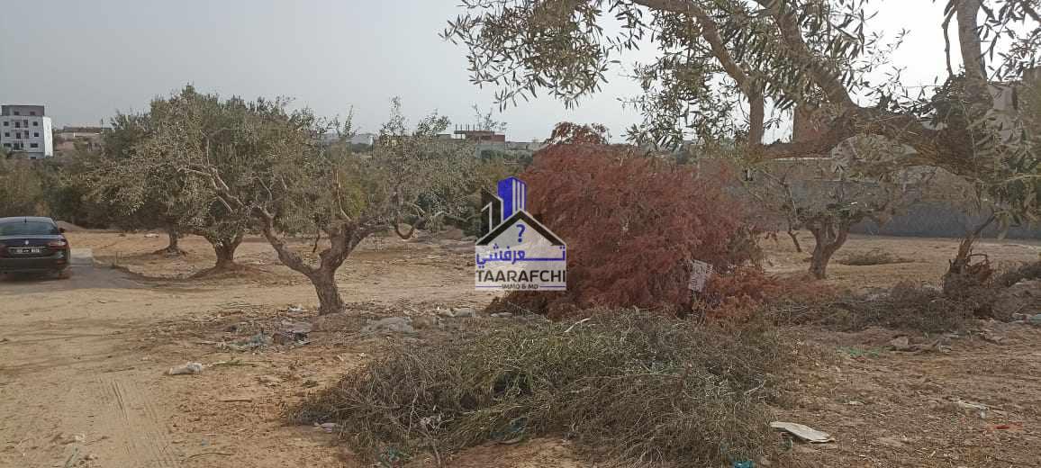 380406944_705248928208440_224315692129030813_n