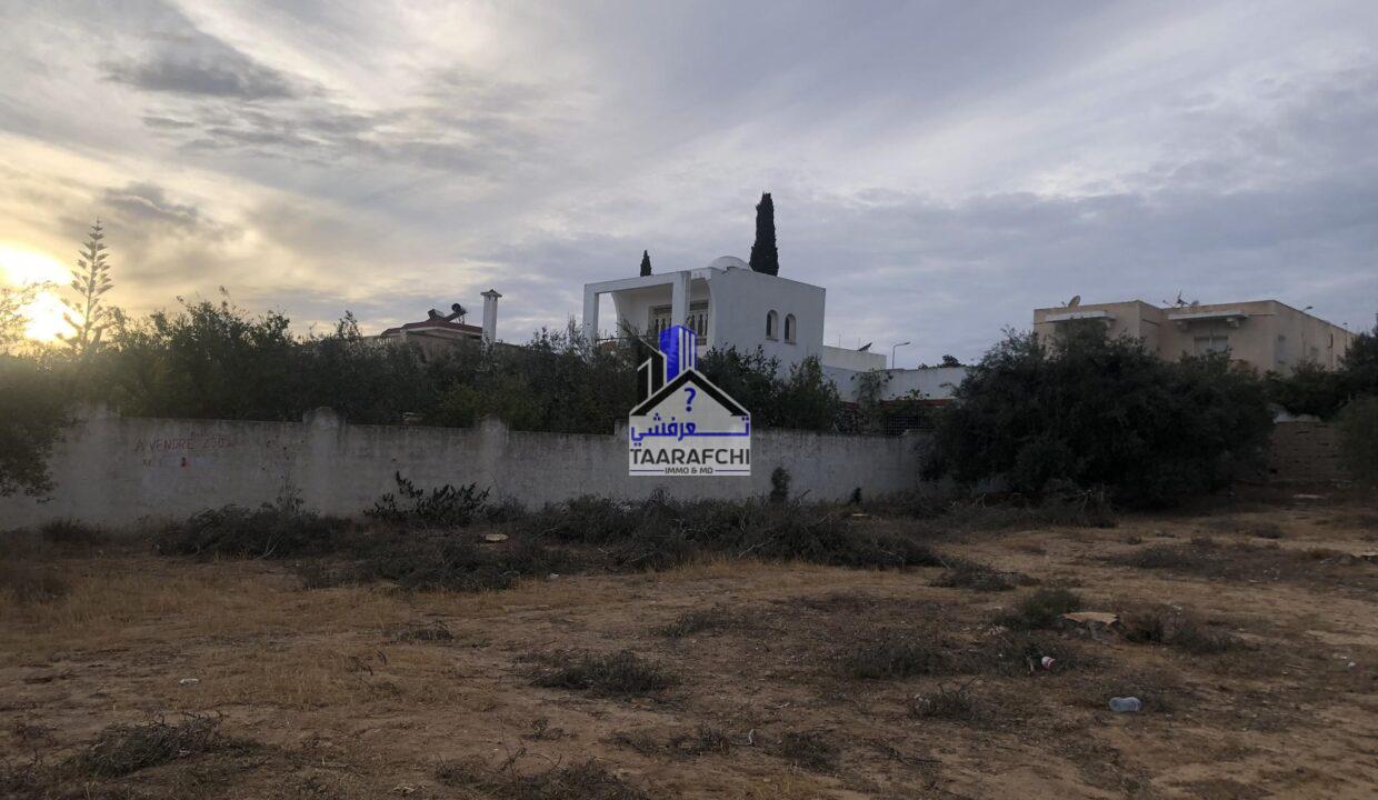 386871051_1343937669558684_1083632893073517687_n