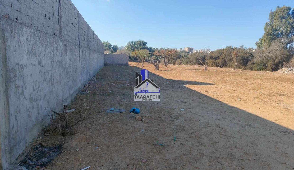 387322671_879919556680830_7721956710586687916_n