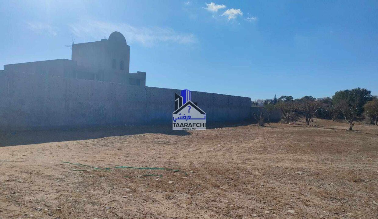 387329571_3123056131321341_596010660055406323_n