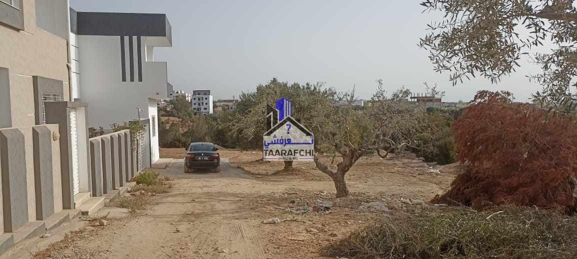 387567088_354736743602667_2851113958843553469_n