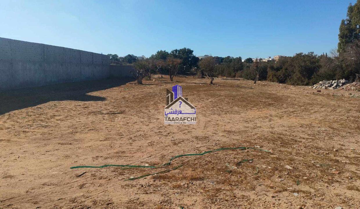 387593755_199547149790993_2963805079984692103_n