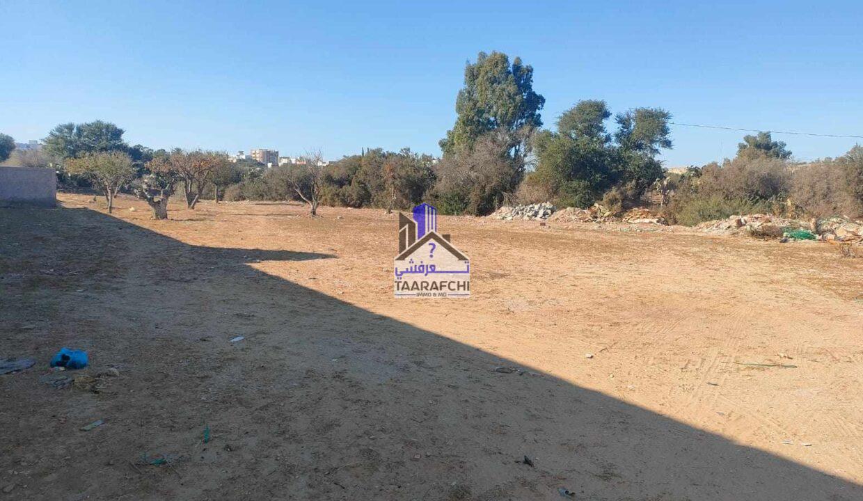 387601130_839638071193300_4648528100244343790_n