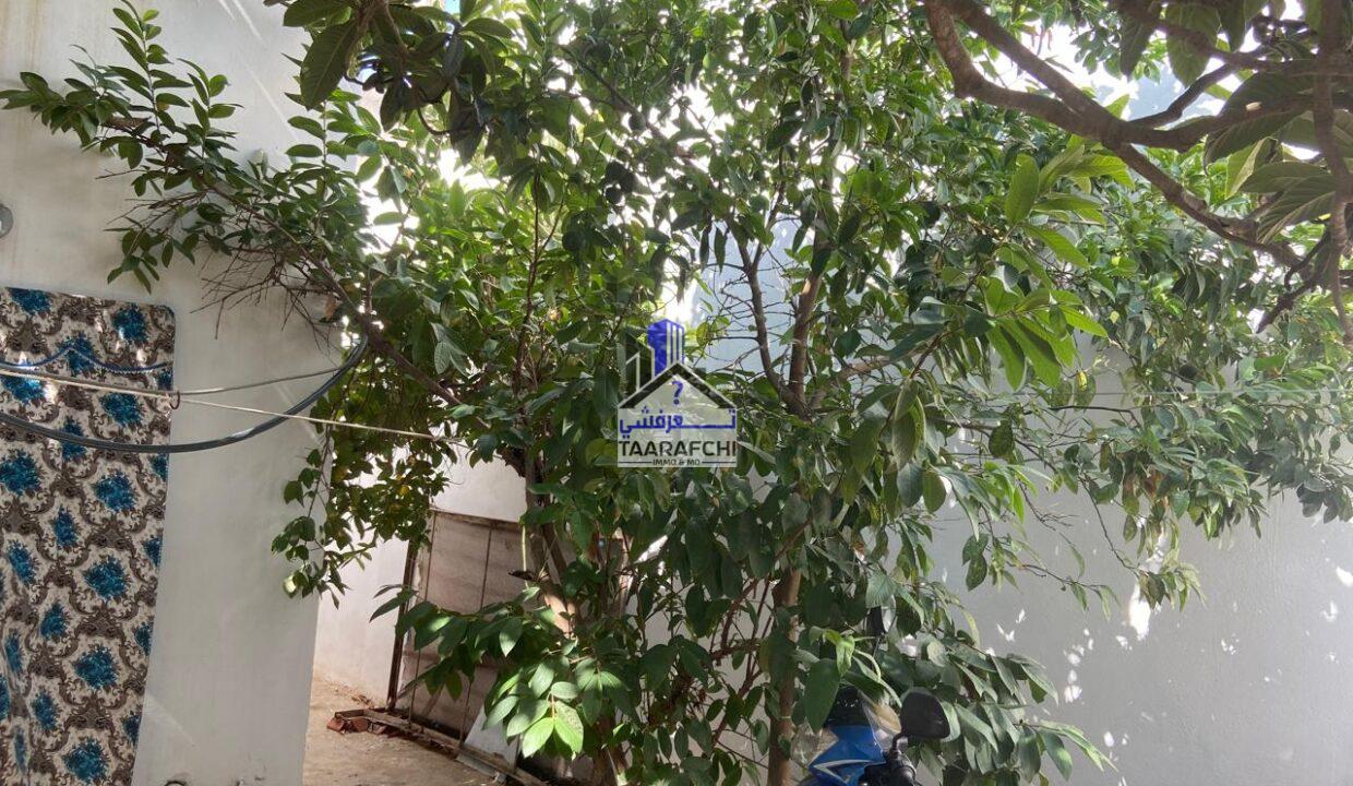 3a9e36bb-b342-4eca-bf4f-8252179eafdc