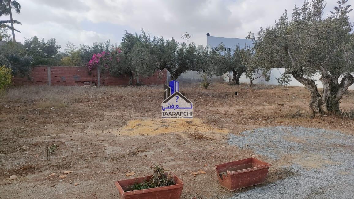 3fb438c4-b3e4-4aa3-a185-aa1cf1bcea59