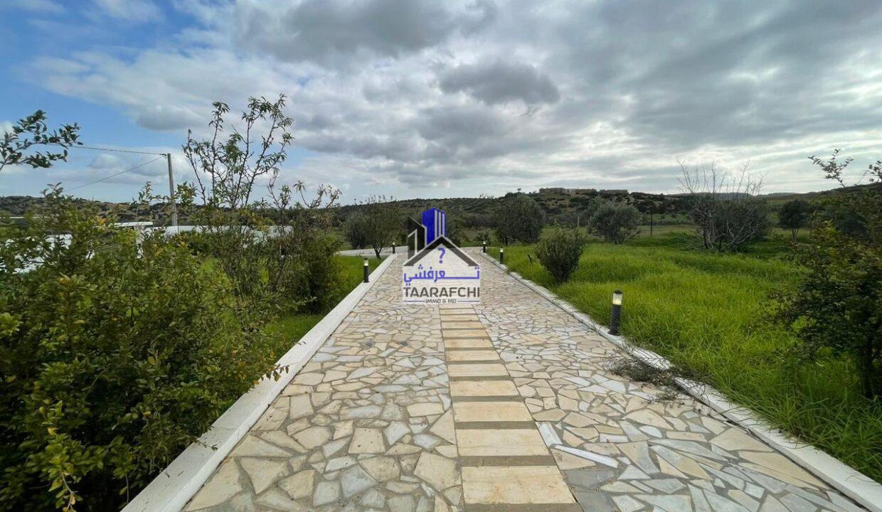 469019908_507104872363937_9138285016262352357_n (1)