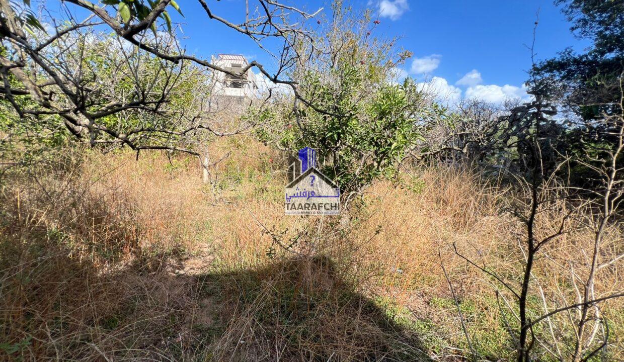 520eb732-8cb8-44ed-9925-21b1d1d62c2a