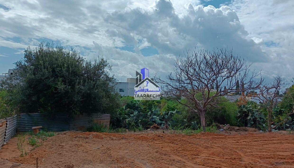 5a5991eb-e6ff-45c2-bfbf-13c48c6fa3ec