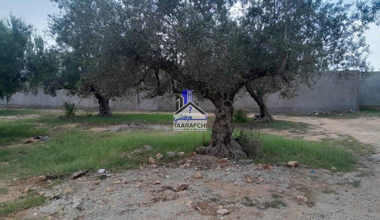 694a06be-8343-4d66-8137-123821fa47e3