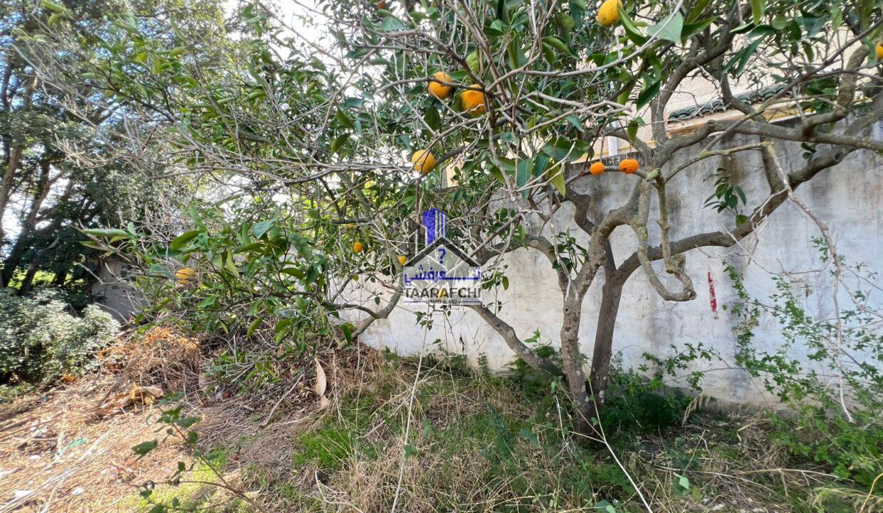 6969cf1a-1baa-47d6-8970-6f2a926c22c4