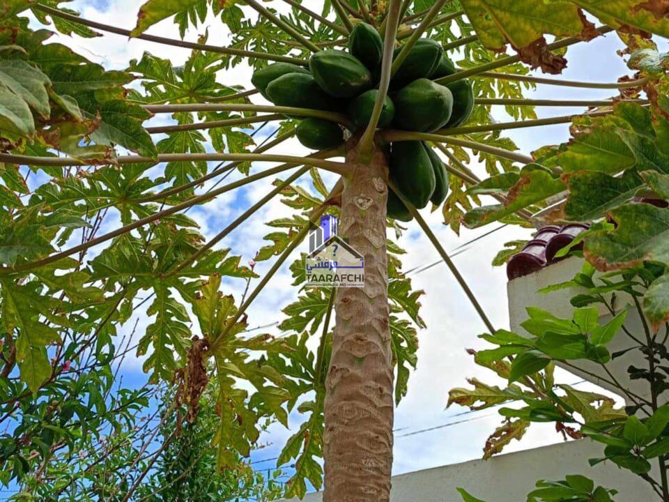 6b2bc7ab-4c77-4de2-b9b9-3a107f6d3b3a