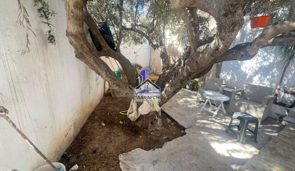 8546d532-549e-454f-aa05-c93a9dfb277d