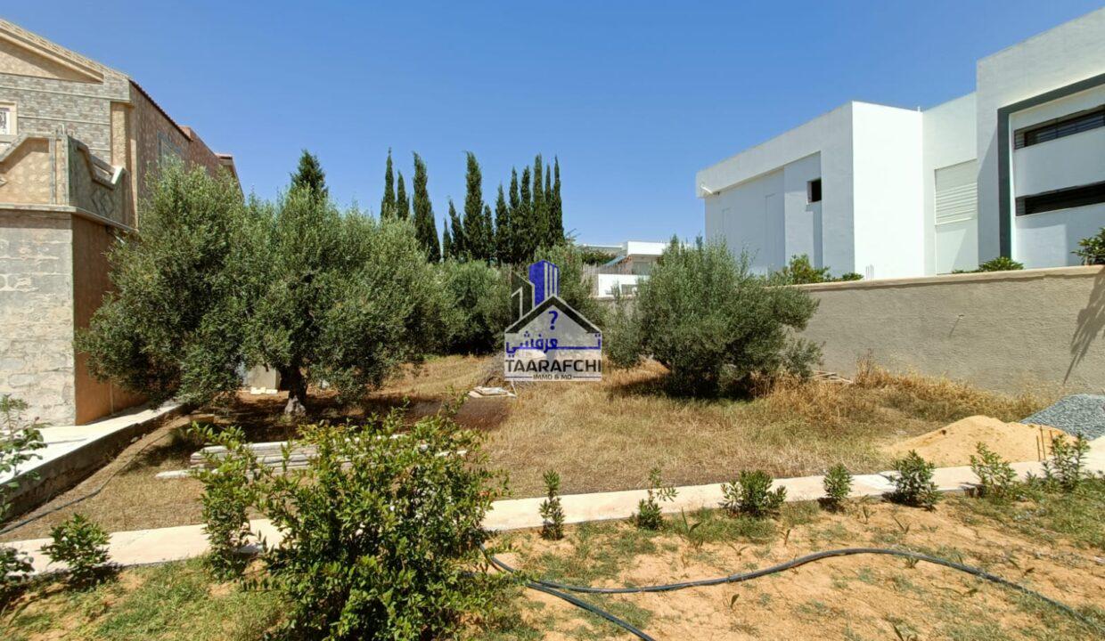 879459a6-215b-4606-a357-d06eac6a5525