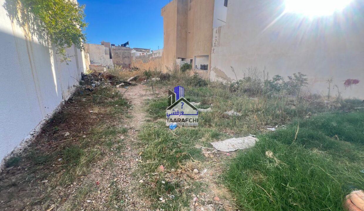 8c9304f1-91ec-415c-af15-0ff61999cd87