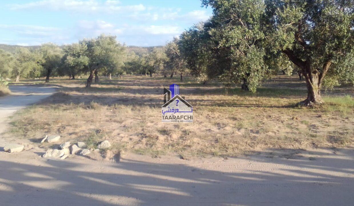 96ce48f1-7543-468b-a192-4495cb363912