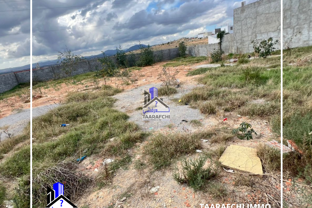 TAARAFCHI IMMO 58 823 036 58 828 837 - 2025-10-17T091431.114