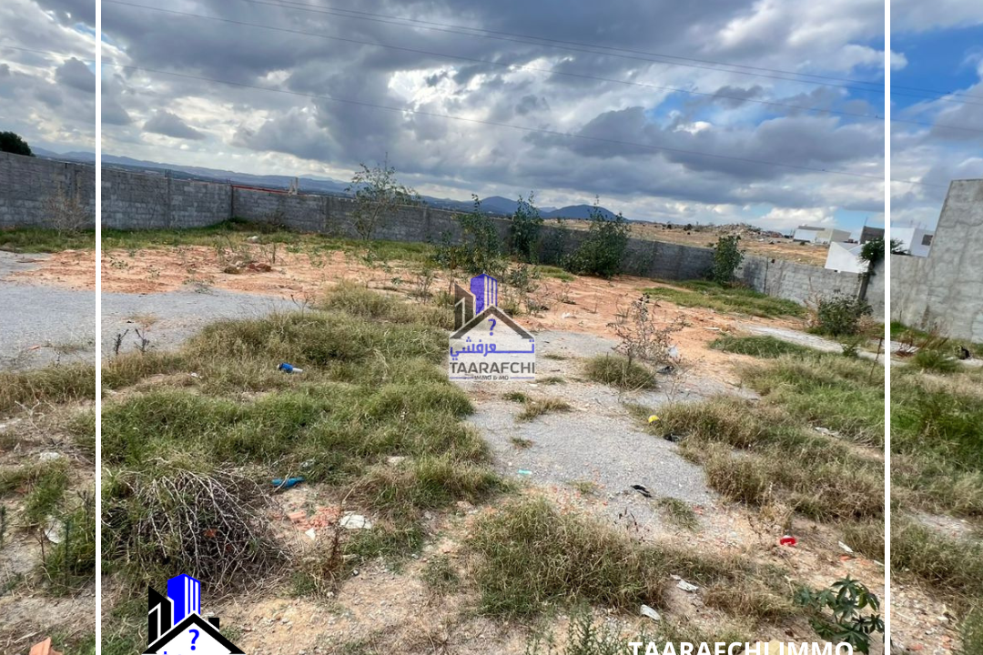 TAARAFCHI IMMO 58 823 036 58 828 837 - 2025-10-17T091509.718