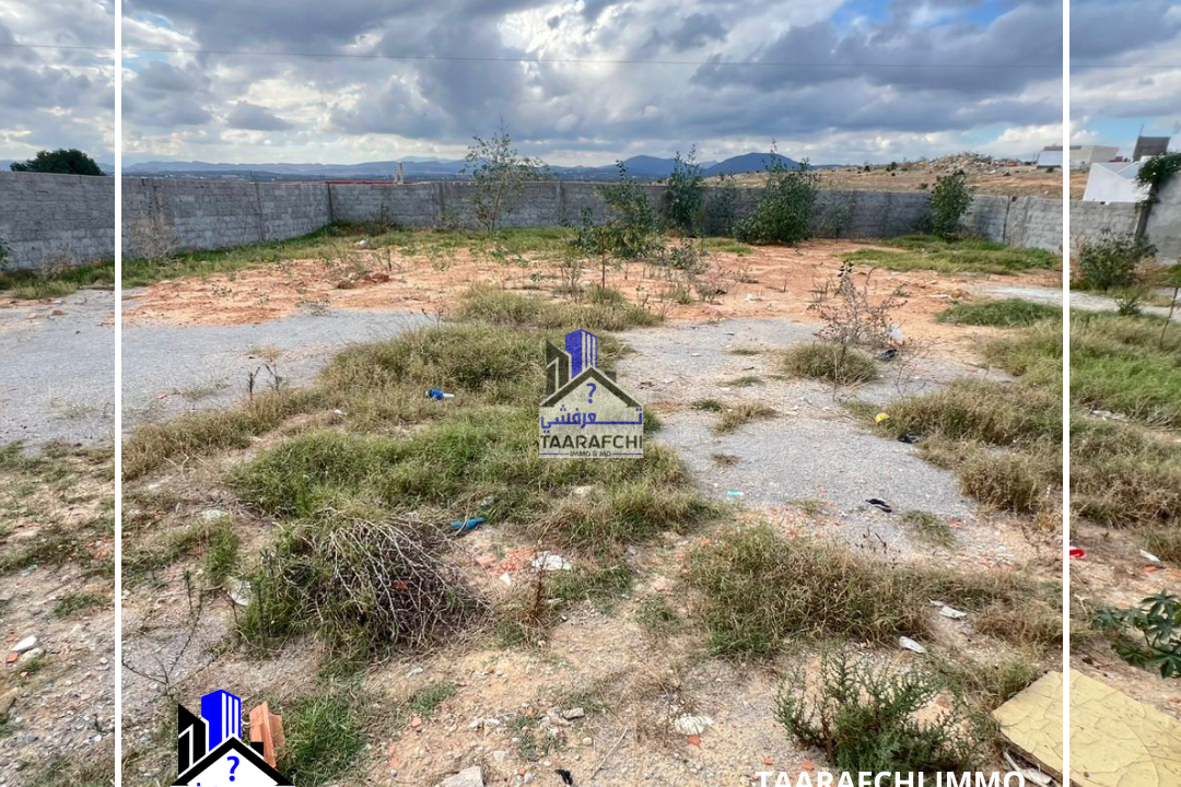 TAARAFCHI IMMO 58 823 036 58 828 837 - 2025-10-17T091556.440