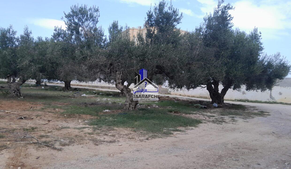 af875461-d153-4b36-8f09-071e6a2b864b