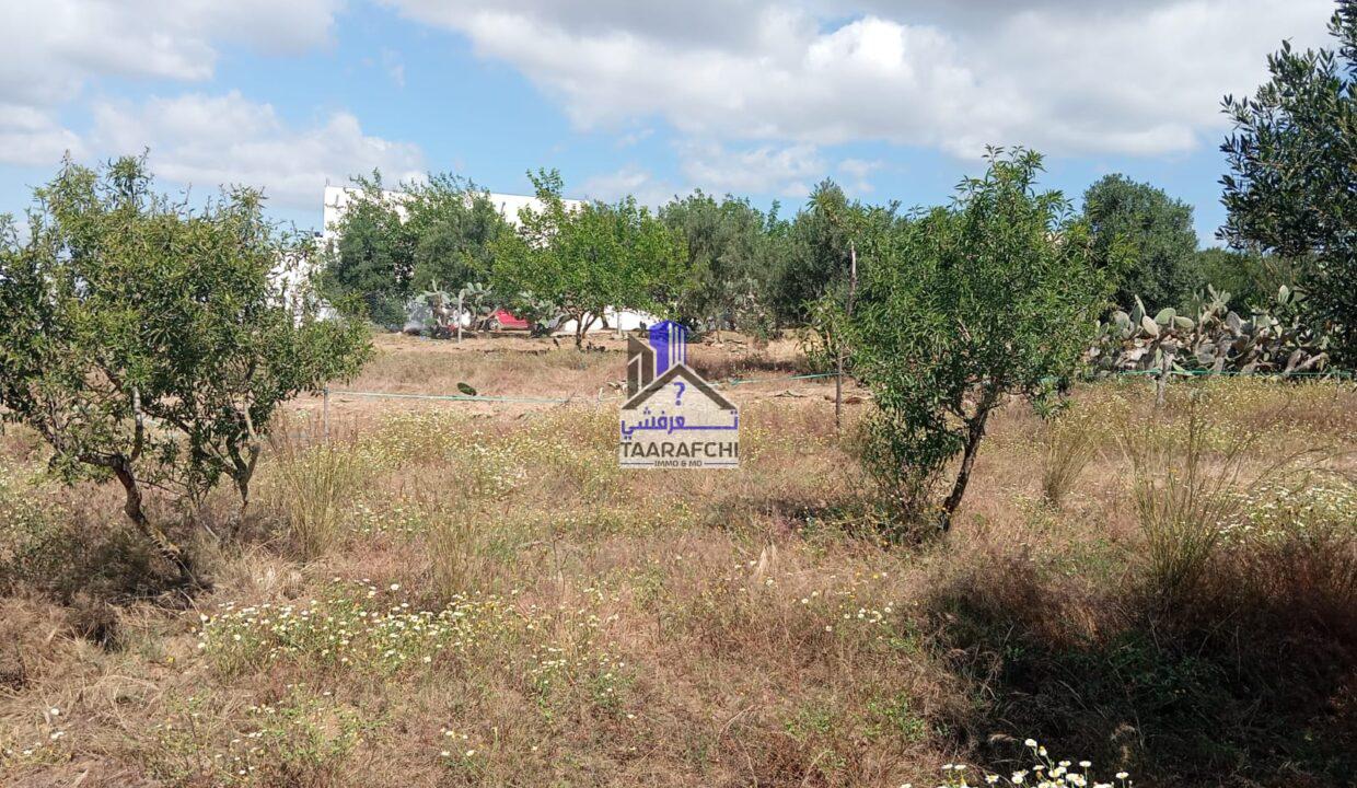 b2373a26-f5b6-4e63-9208-2b48890d842e