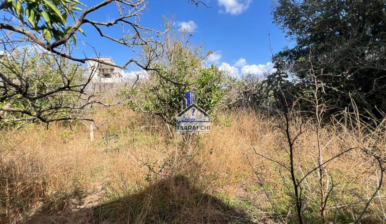 bbd8b51e-7dcd-498b-a84c-a1250c1fc955