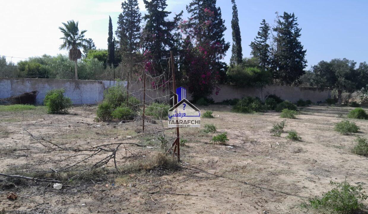 bf1a5a3c-1a67-461a-8ced-1530782ffc26