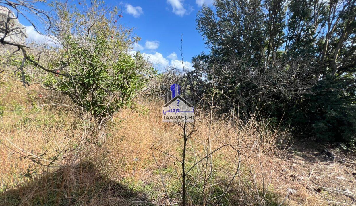 c24bb0c4-2e71-4059-bfe6-0ea596412cee