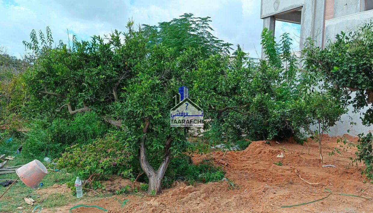 c6b7ba5c-f93c-4ffc-922c-39948c145427