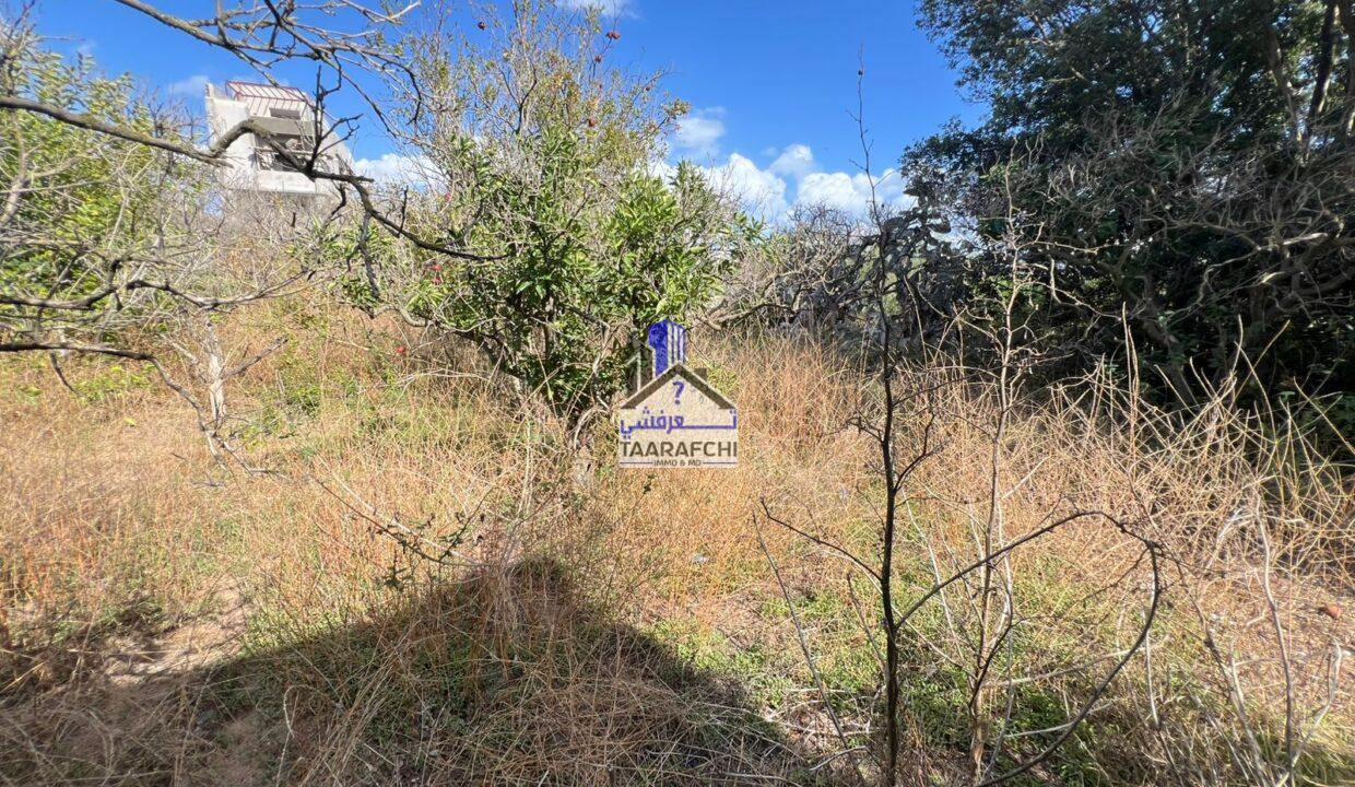 d30af739-ebf1-4c78-98e5-cbd5264289cd