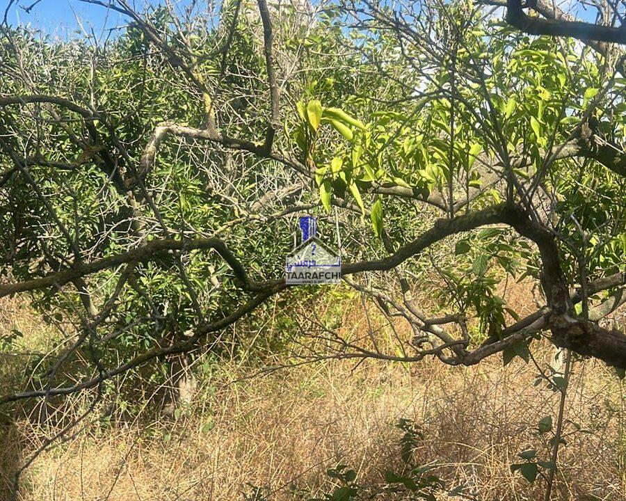 d8c727cc-994a-4a1b-b7ea-472802b24a48