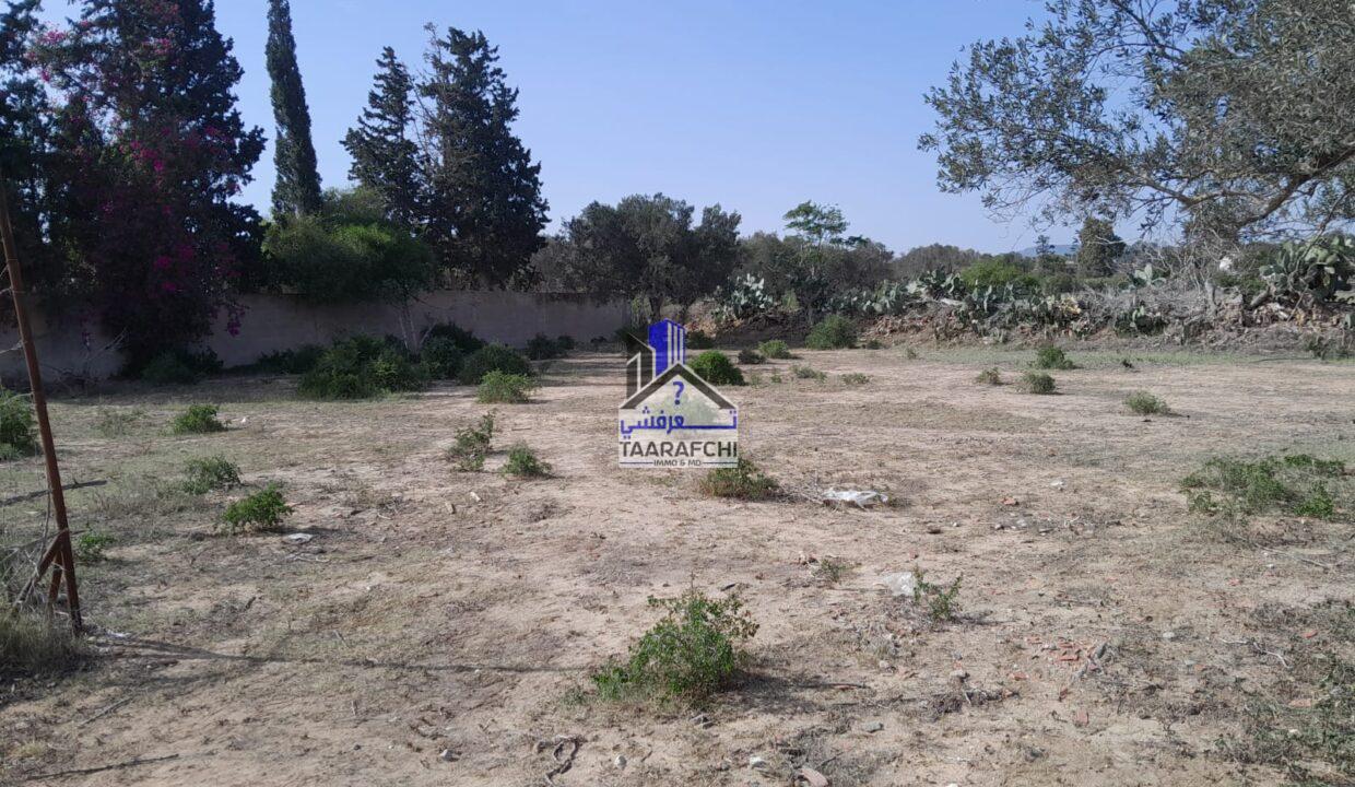 ded59a16-e500-44ae-8fe1-e3adbb68bfa8