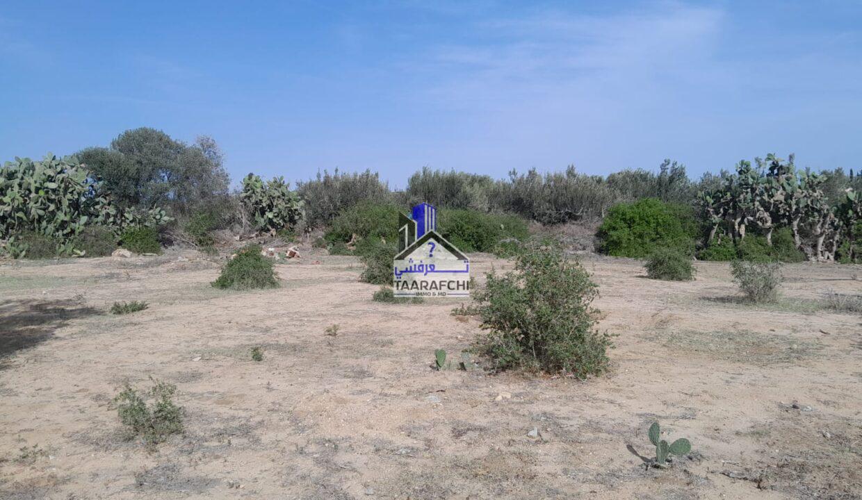 e0123647-f266-41b2-abde-9f565906a6fb