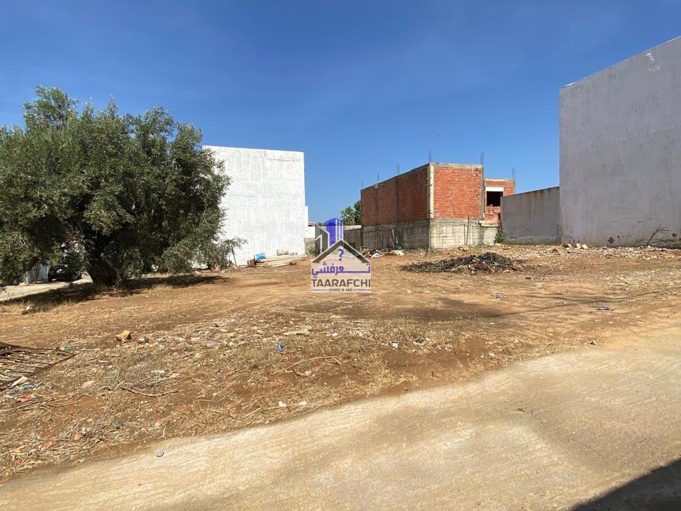 e05e9d22-a4bc-4707-87d1-d3b831568dc9