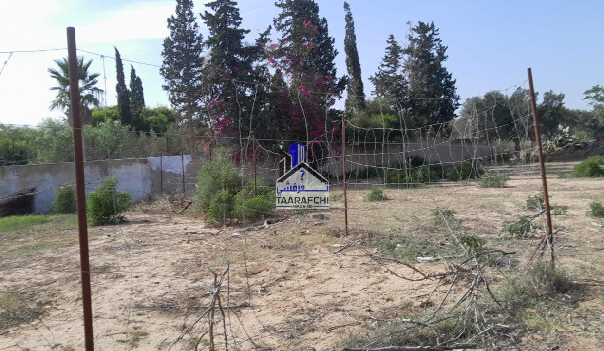 e9feed55-efa1-445a-8af0-1f55f69da0e4