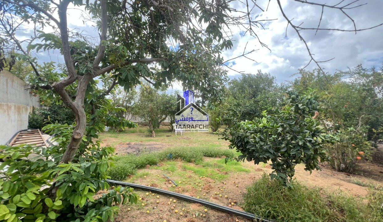 eb4801d4-e0ea-43a6-8e74-32249198b031