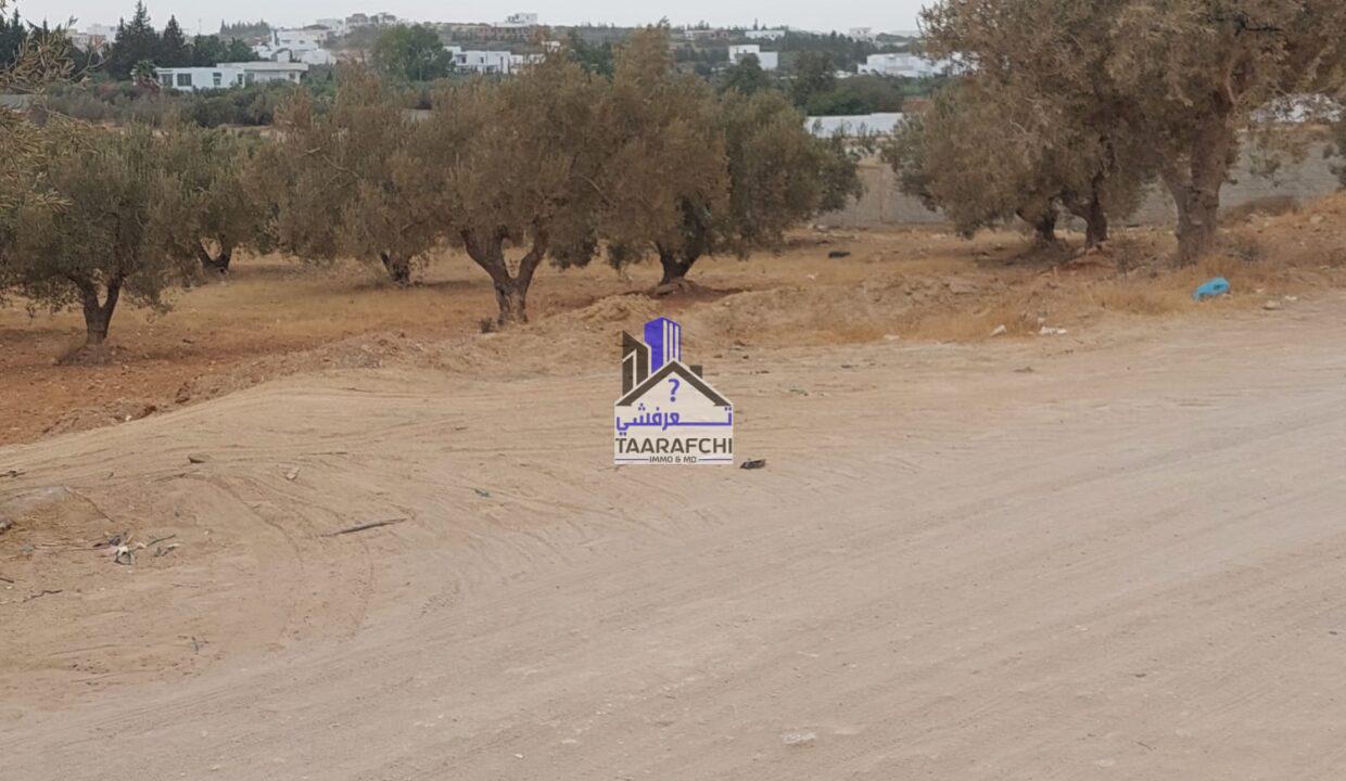 025dae48-24ec-4f6d-967f-f37898016521