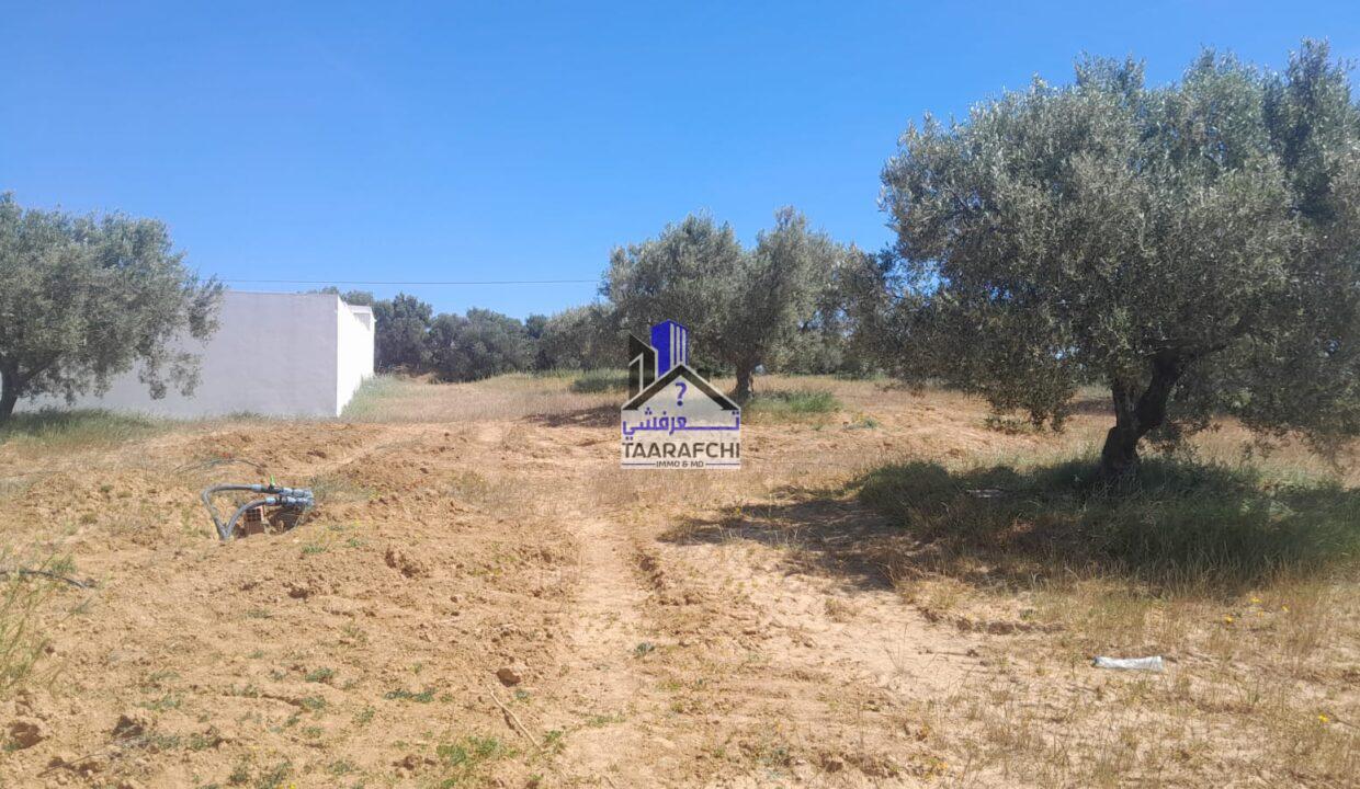 083f88f1-9893-470c-9bea-e72352556e9c (1)