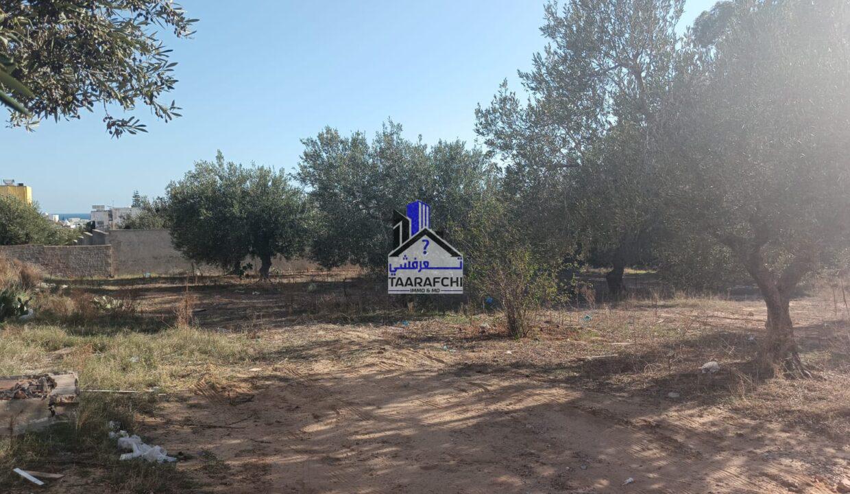 0be96820-b263-46d2-b0b9-0fef10a631a3