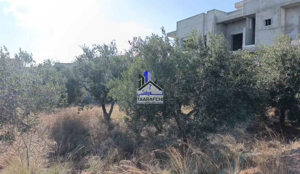 13302ae5-6fd1-4281-8b89-09866651f746