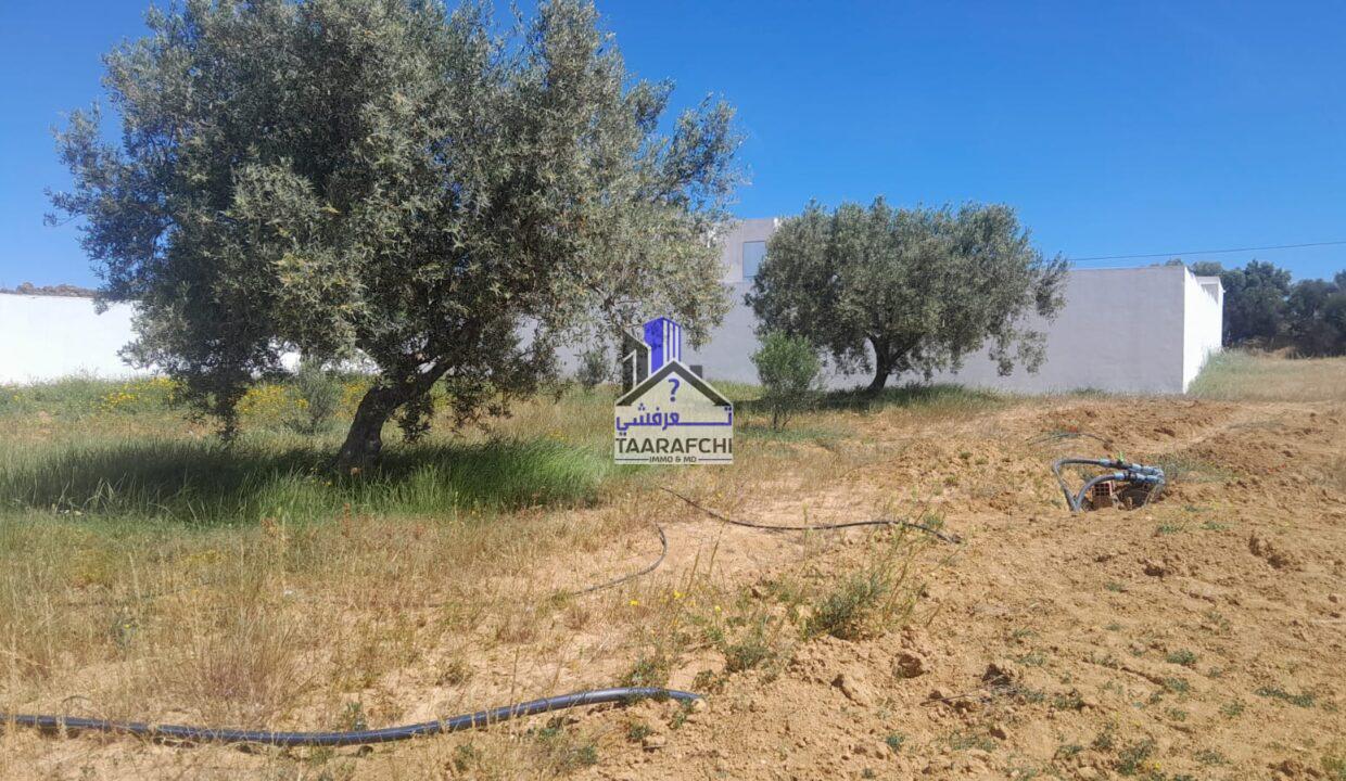 19a259bb-5762-43eb-a9e9-742a766f42e4